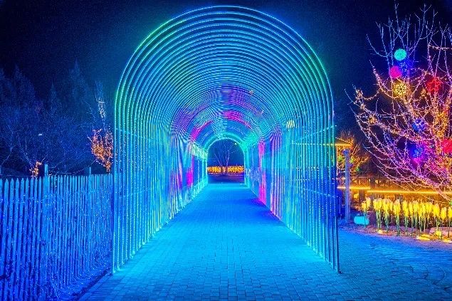 1672002692663382.jpg 1672002692663382.jpg