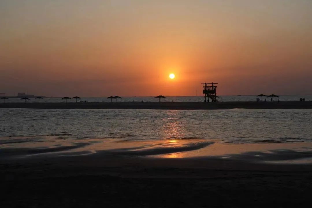 1672005958273701.jpg 1672005958273701.jpg